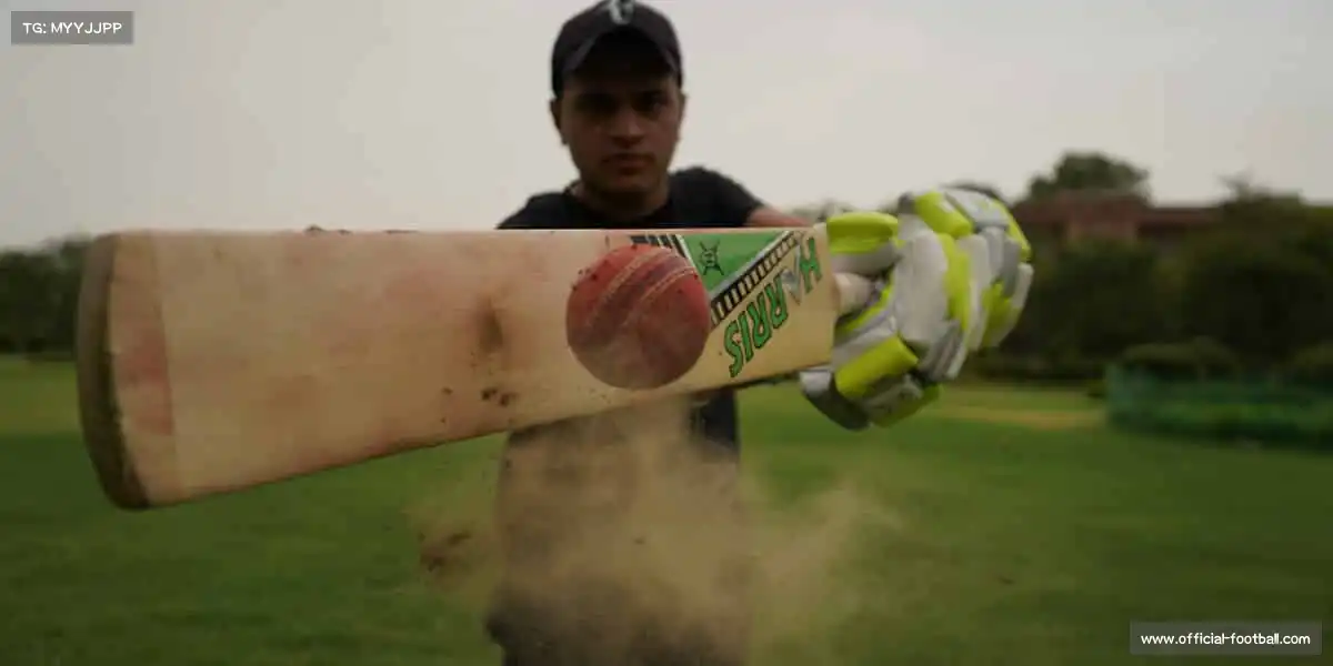 十大正规买足球网站——🐟撑杆飞跃，鱼跃龙门！